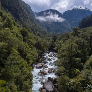 Declaran Santuario de la Naturaleza más de 11 mil hectáreas en el Valle Cochamó