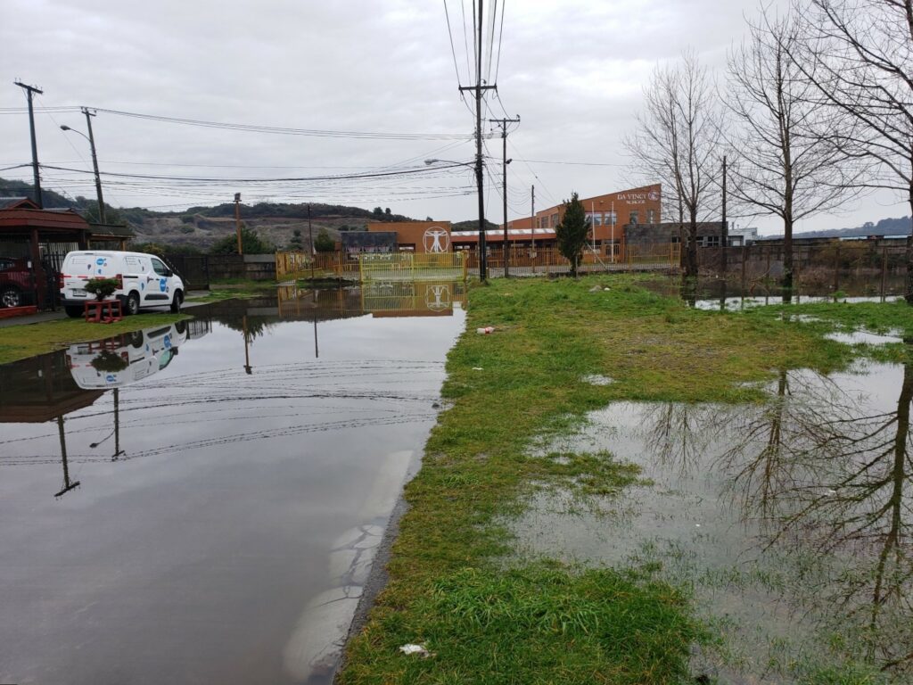 Colegio Da Vinci Puerto Montt.