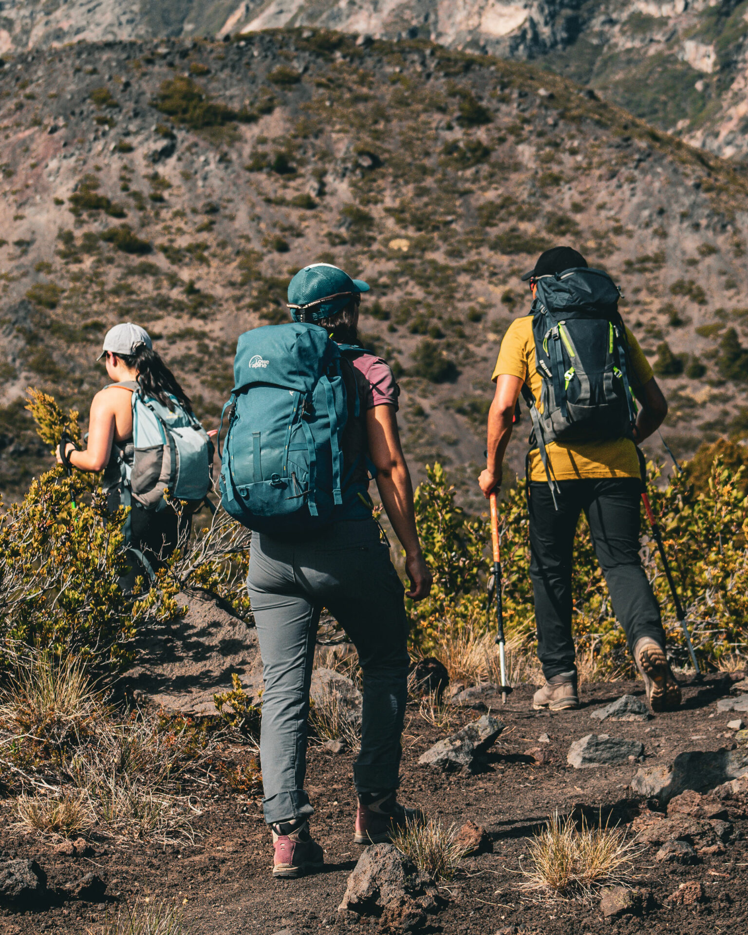 ¿Fan del trekking? 10 rutas de medio día que puedes hacer en la Región Metropolitana y sus alrededores