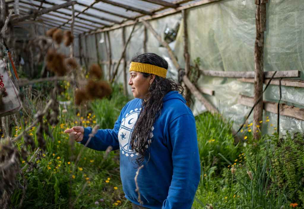 Cristina Soto, werken de comunidad mapuche williche. Foto: ©José Aguilera