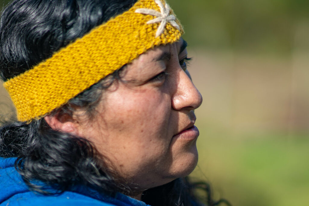 Cristina Soto, werken de comunidad mapuche williche. Foto: ©José Aguilera