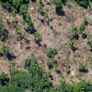 Nuevo estudio indica que el 38% de los bosques amazónicos están degradados