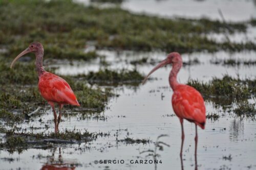 Río Puré, un parque para proteger a los pueblos indígenas en ...