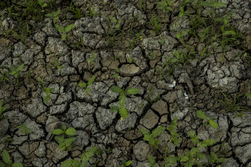 Fotografía del suelo del Lago do Aleixo afectado por la sequía, Manaos, Brasil (2022). Créditos: Raphael Alves / EFE