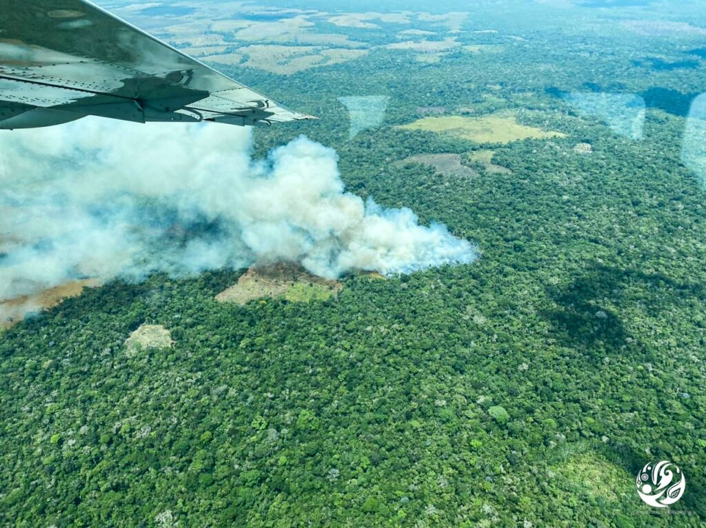 Incendios en la Amazonía colombiana. Febrero 2022. Foto: FCDS.
