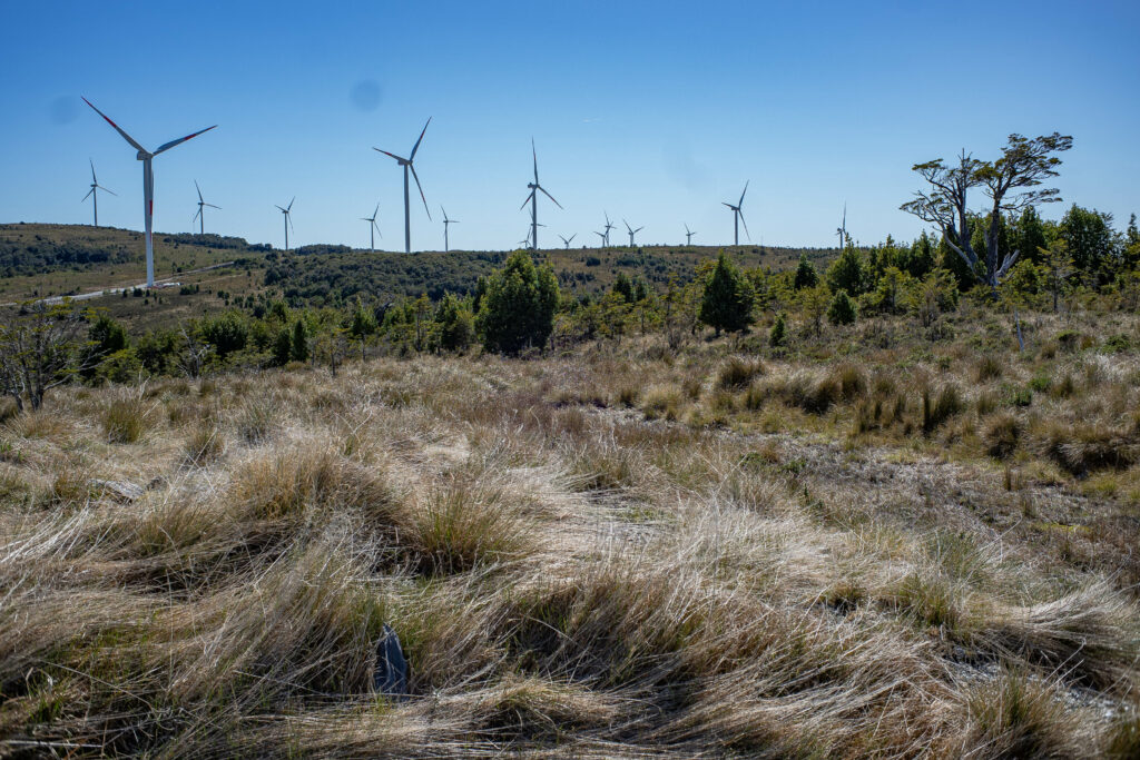 Parque eólico en Chiloé. Foto: ©José Aguilera