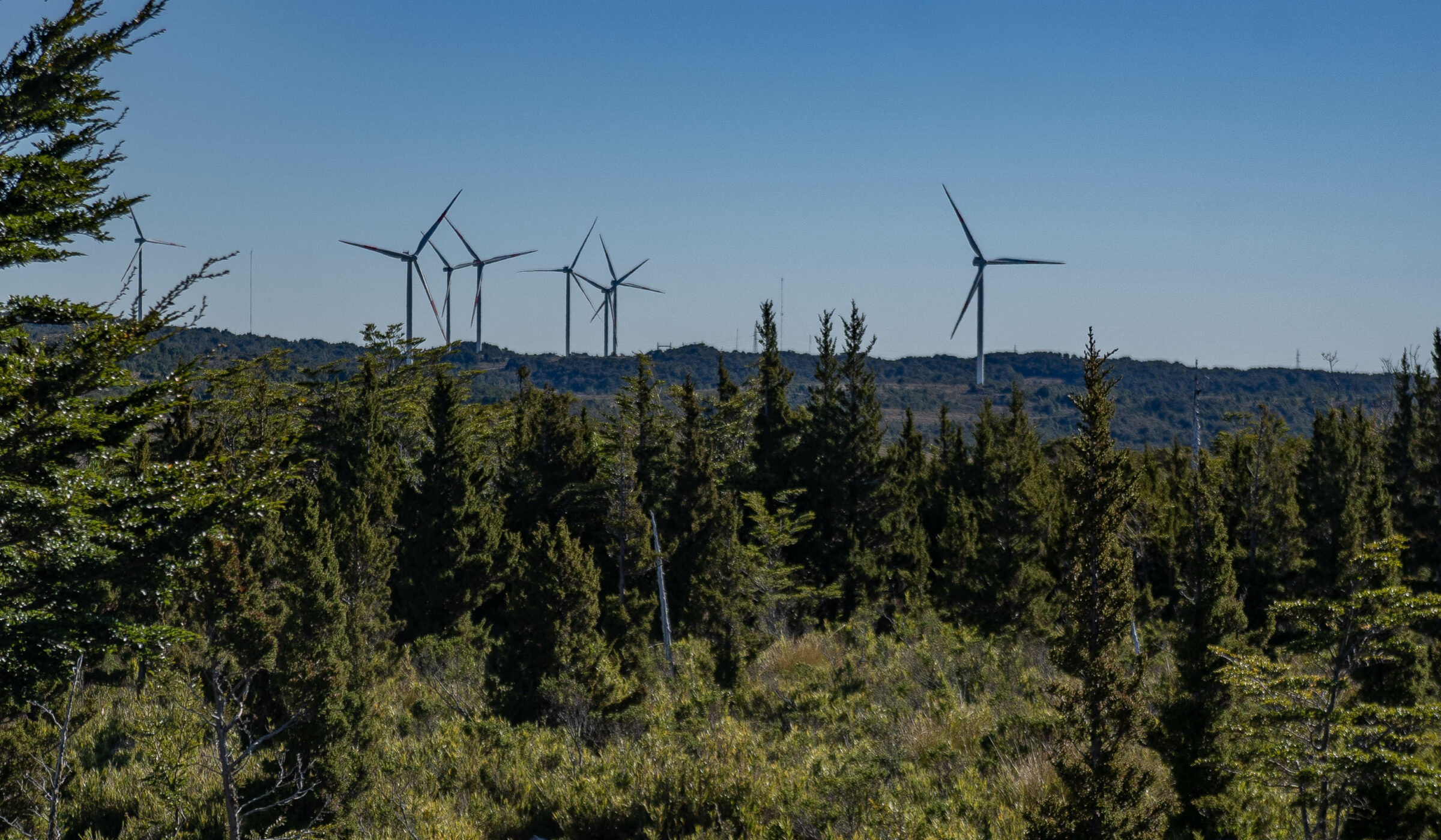 Aumento de proyectos eléctricos en Chiloé amenaza conservación de las turberas