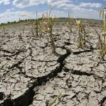 Sequías en argentina. Créditos: Servicio Meteorológico Nacional Argentina