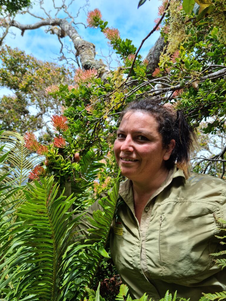Ángela Garcia junto a la planta Notanthera heterophylla.