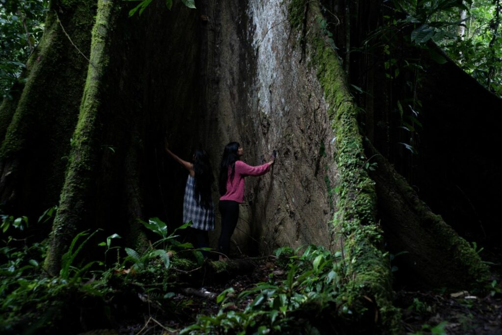 Nina Gualinga con su madre, Noemí Gualinga, en la raíz del gran arból Uchuputu, la casa de los espíritus. Foto: Alice Aedy