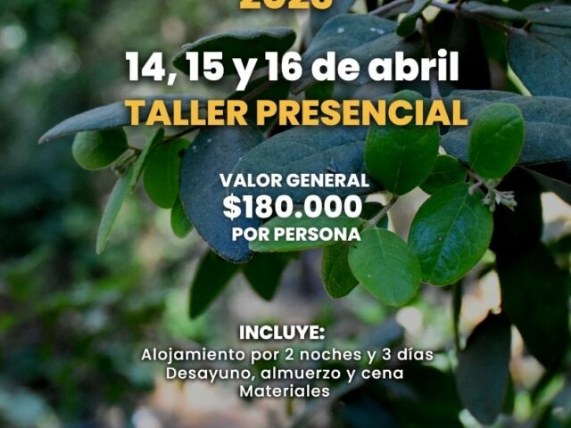 Taller de formación en educación ambiental en la Reserva Natural Altos de Cantillana