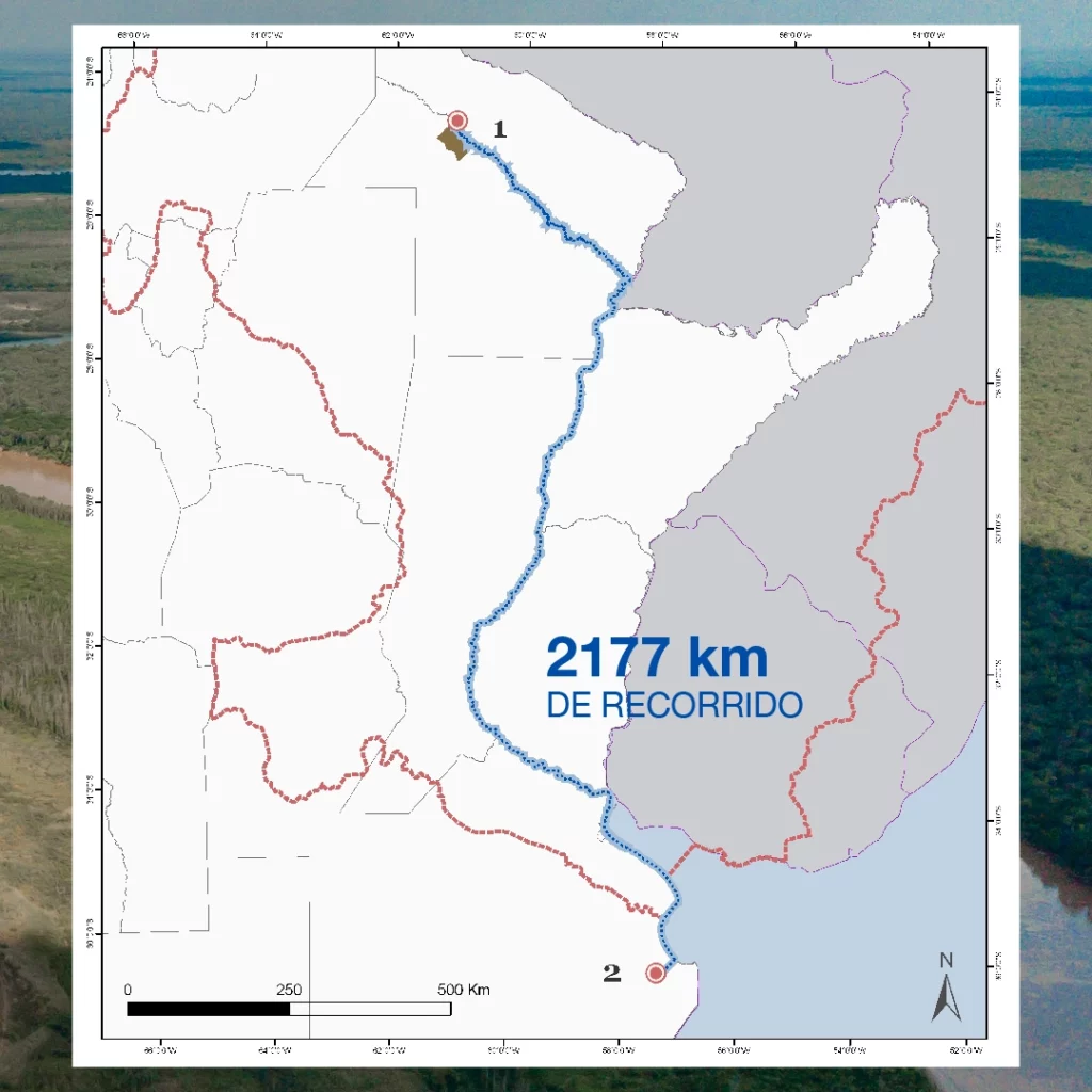 En azul, el recorrido efectuado por Teuco desde el Chaco a Buenos Aires. Recorrió los ríos Bermejo, Paraguay, Paraná, Plata y el Canal 1 en la bahía de Samborombón. Mapa: Fundación Rewilding Argentina.
