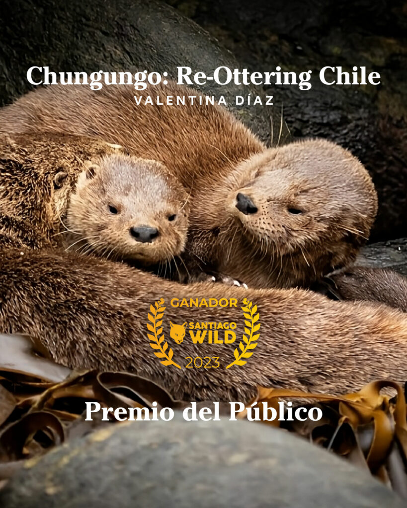 Premio del Público Santiago Wild