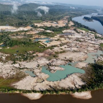 Venezuela ha perdido más de un millón de hectáreas de bosques y sabanas en solo dos décadas 