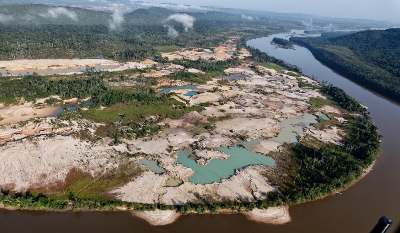 Venezuela ha perdido más de un millón de hectáreas de bosques y sabanas en solo dos décadas 