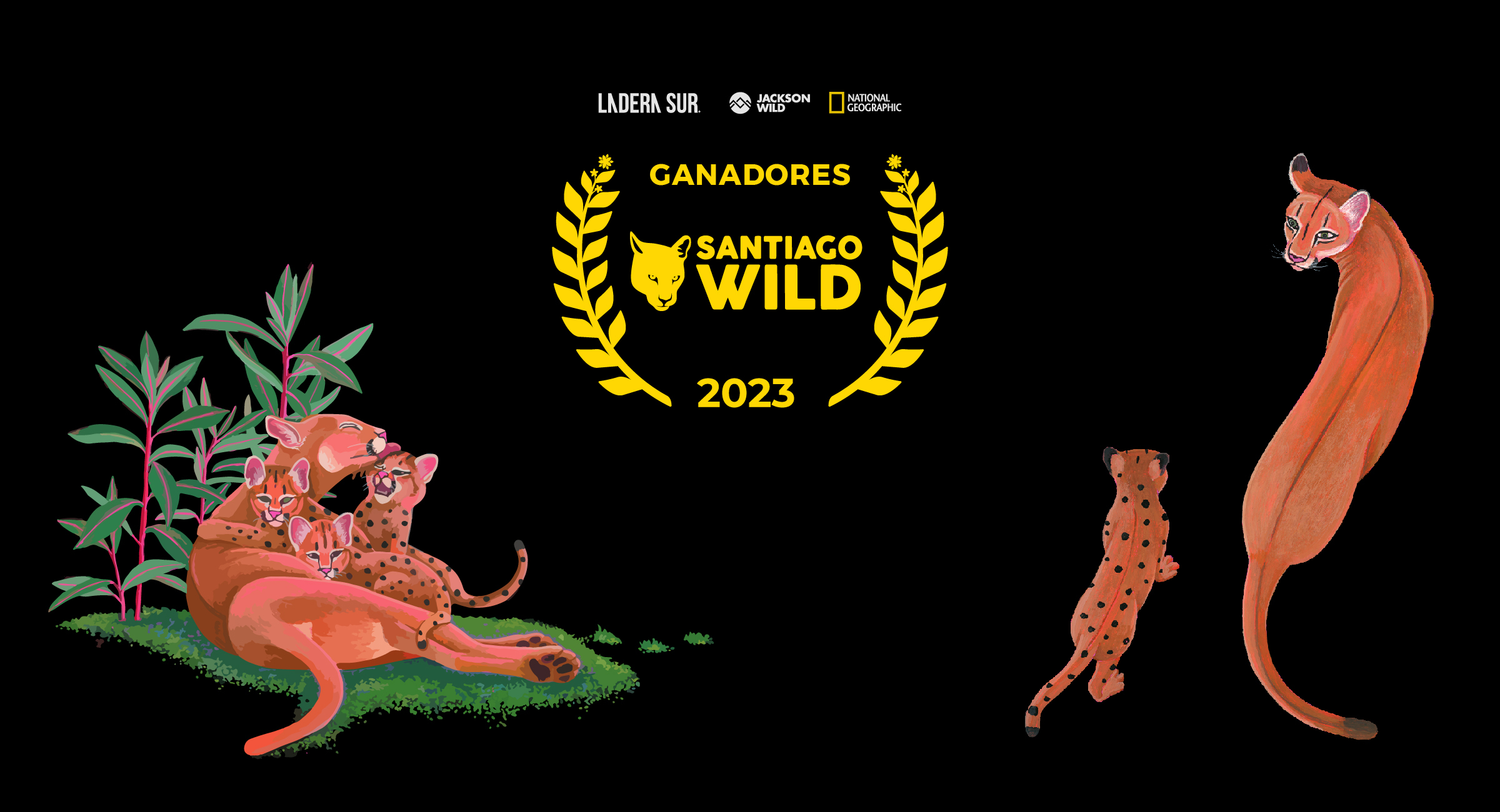 ¡Conoce a los ganadores! Festival de Cine Santiago Wild 2023 premia a los destacados documentales de las distintas categorías en competencia