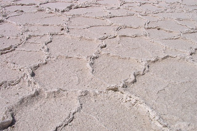 Detalle del Salar de Atacama.