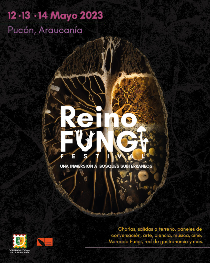 Afiche festival Reino Fungi
