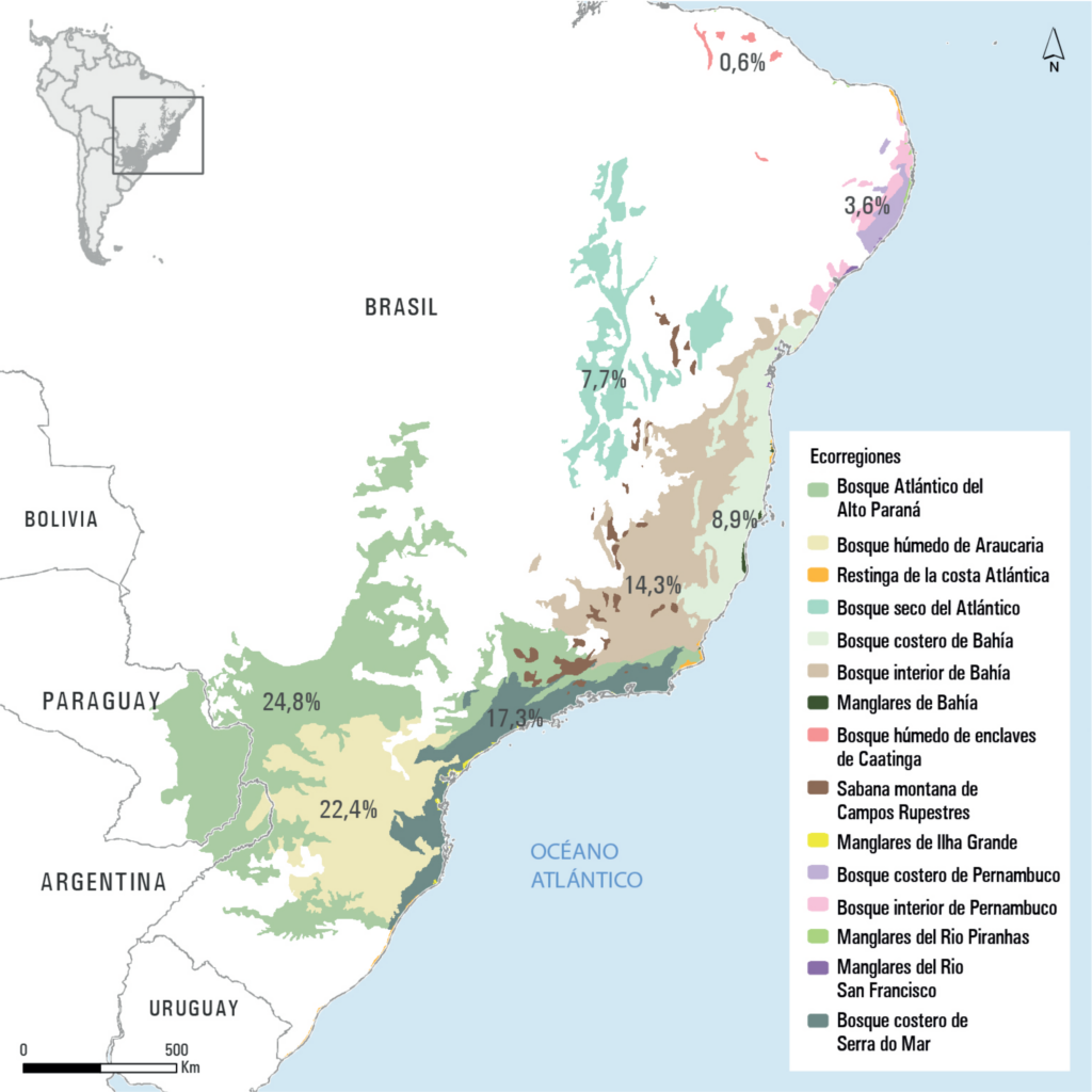 Mapa de distribución de las ecorregiones del Bosque Atlántico. Fuente: SAF