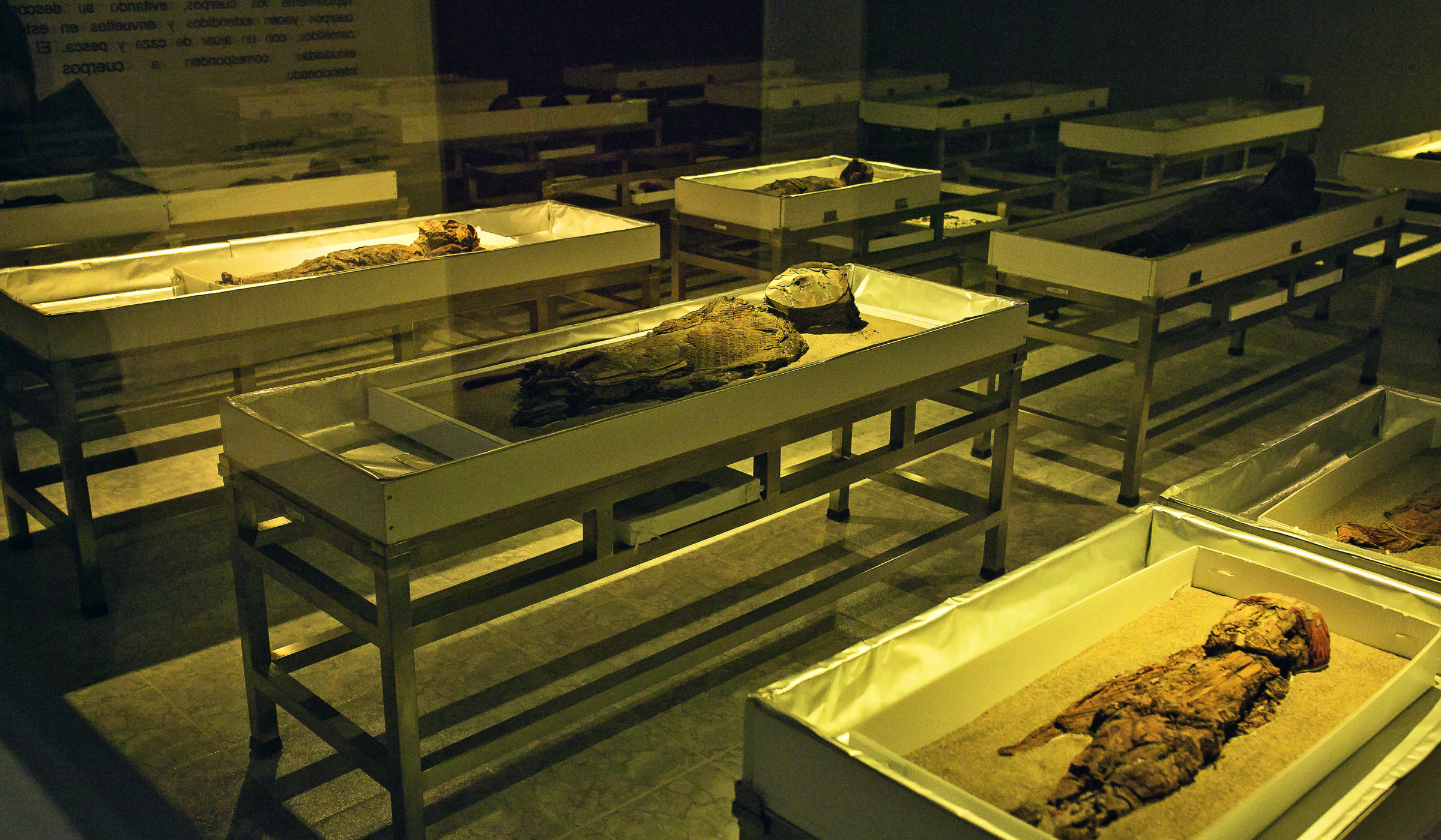 Cultura Chinchorro: los secretos detrás de las momias más antiguas del mundo