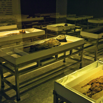 Cultura Chinchorro: los secretos detrás de las momias más antiguas del mundo