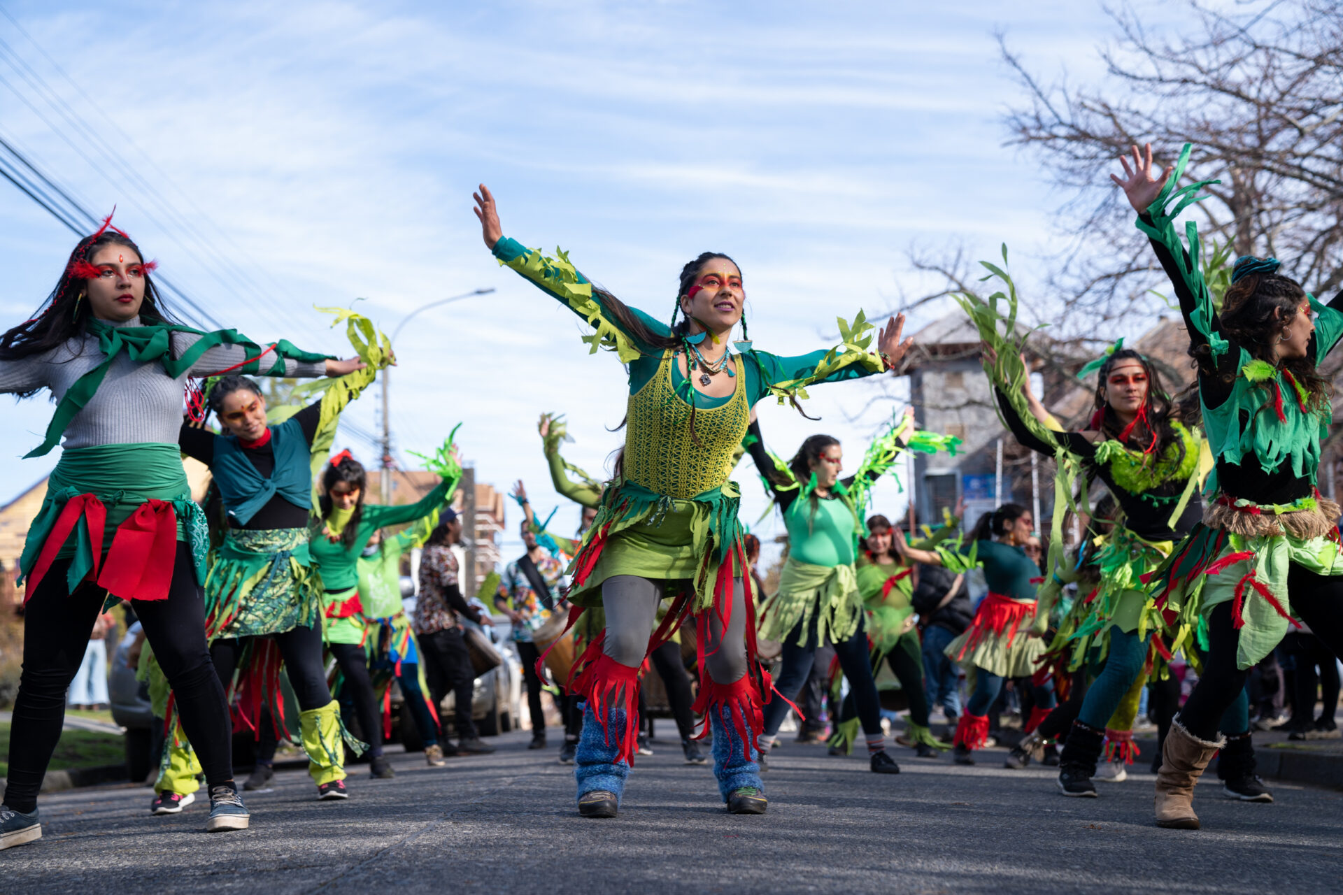 Segunda edición del Carnaval “Yo soy Flora, Fauna, Funga” se tomará las calles de Pucón