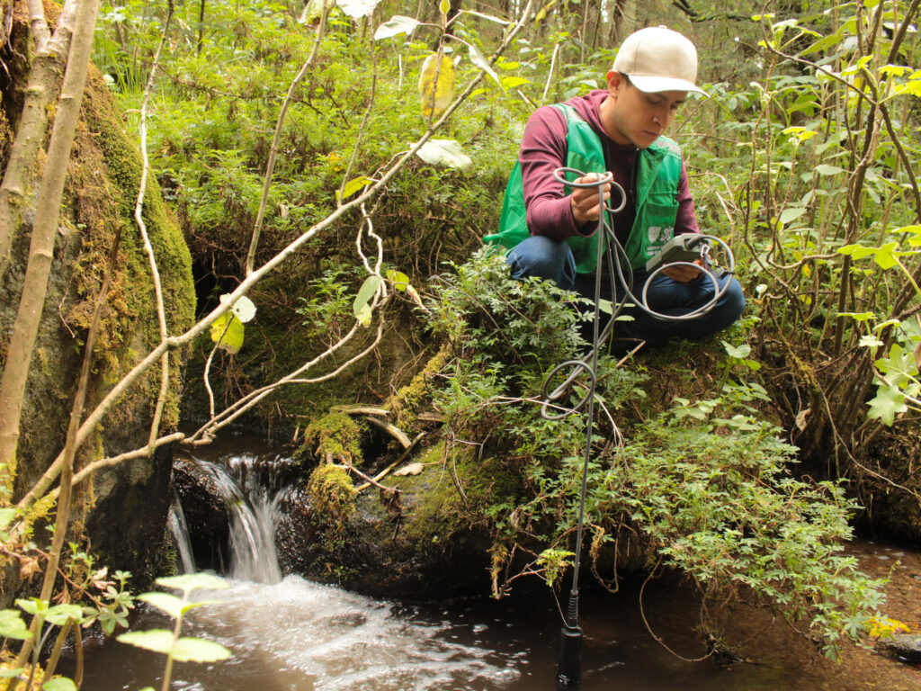 Actividades de conservación del ajolote de Arroyo de Montaña