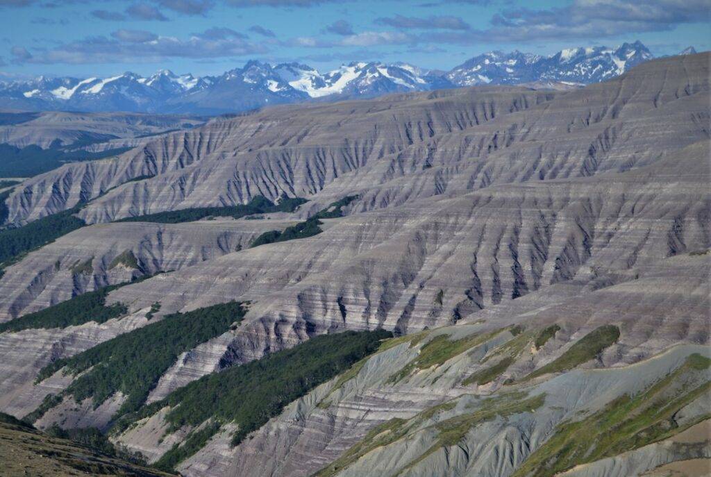 Depósitos fosilíferos en el Sector de Pato Raro, Parque Nacional Patagonia, Aysén. Crédito: Enrique Bostelmann.