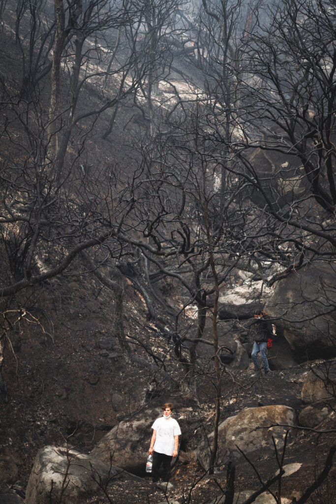 Incendio en bosque nativo Papudo créditos: Luciano Porte