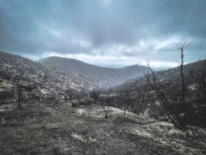 Devastación en Papudo por incendio