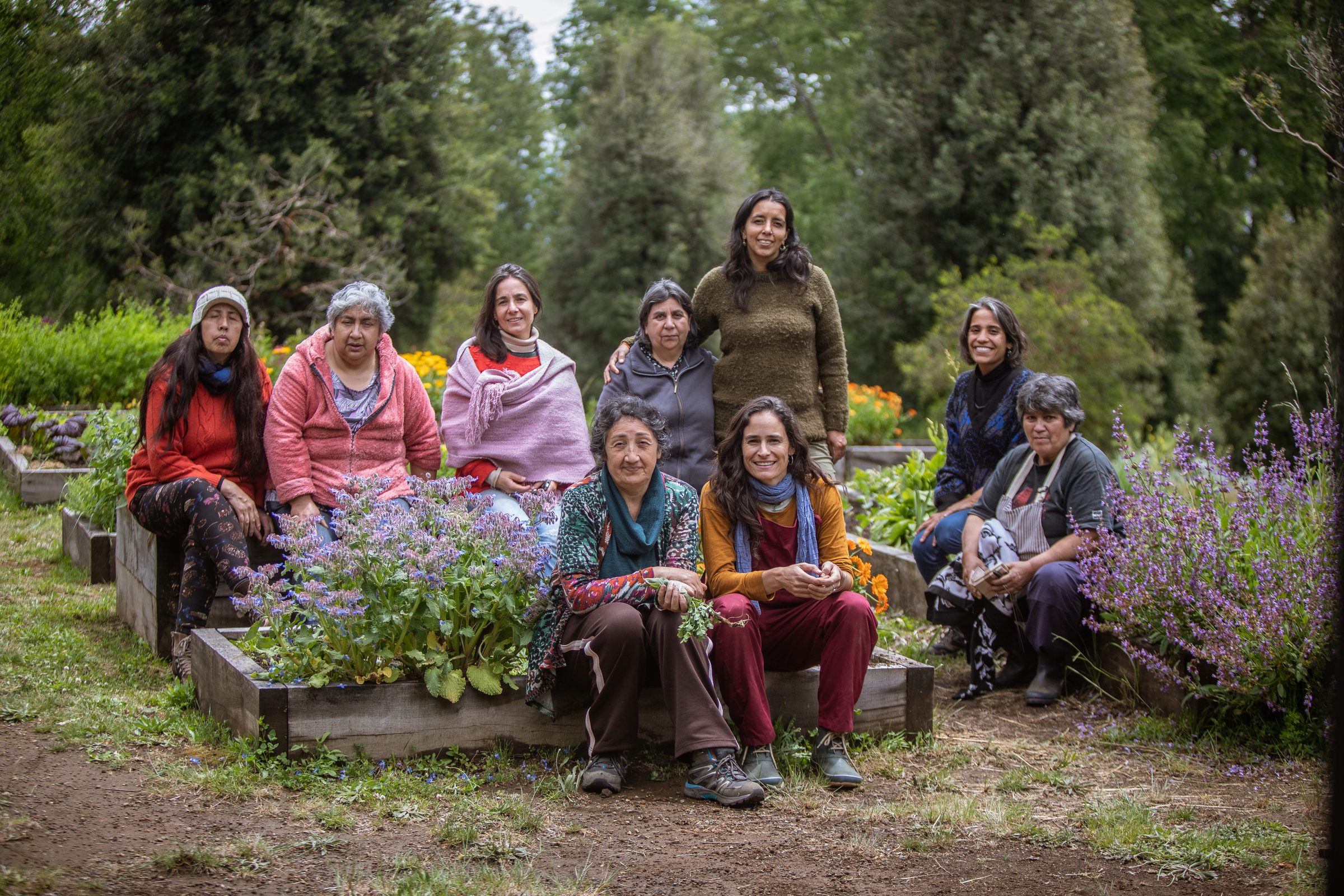 Porotarium Austral: una iniciativa local que lucha por la conservación de los porotos de Chile