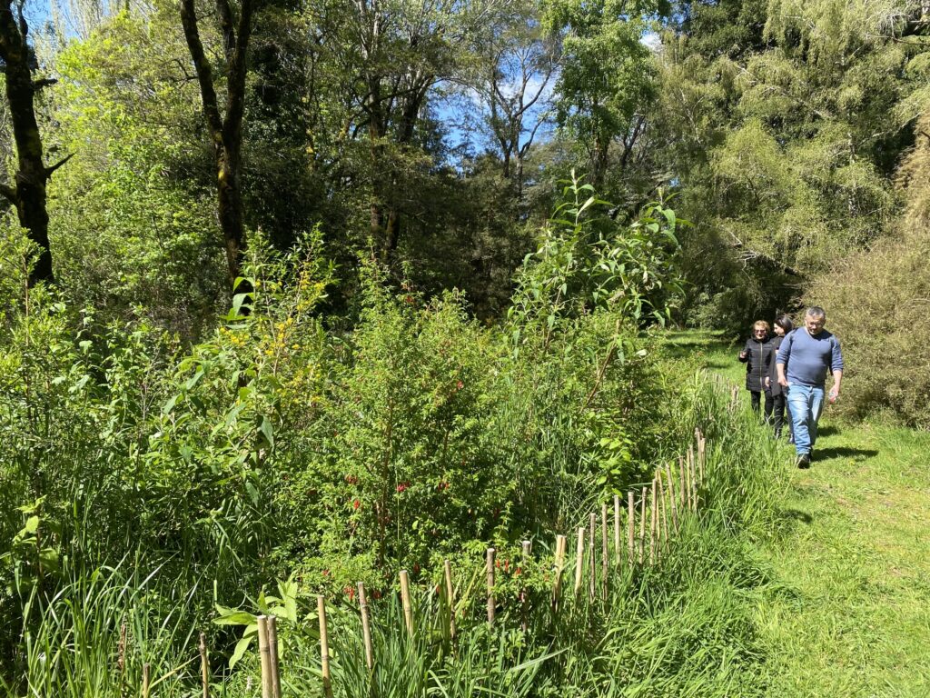 eclipse de plantación de 180 m2, compuesta de una comunidad vegetacional de 44 especies nativas