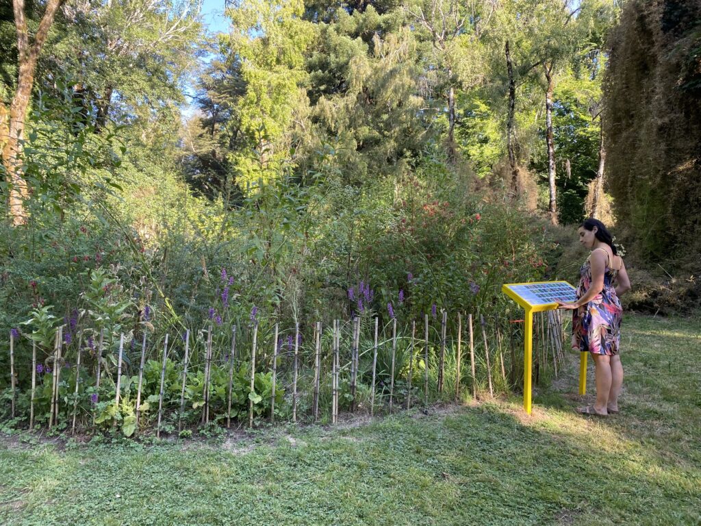 Visitante en el Jardín Botánico, leyendo una infografía de las plantaciones