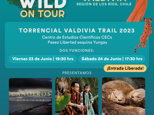 ¡Vuelve Santiago Wild On Tour! Anuncian fecha para Torrencial Valdivia Trail 2023