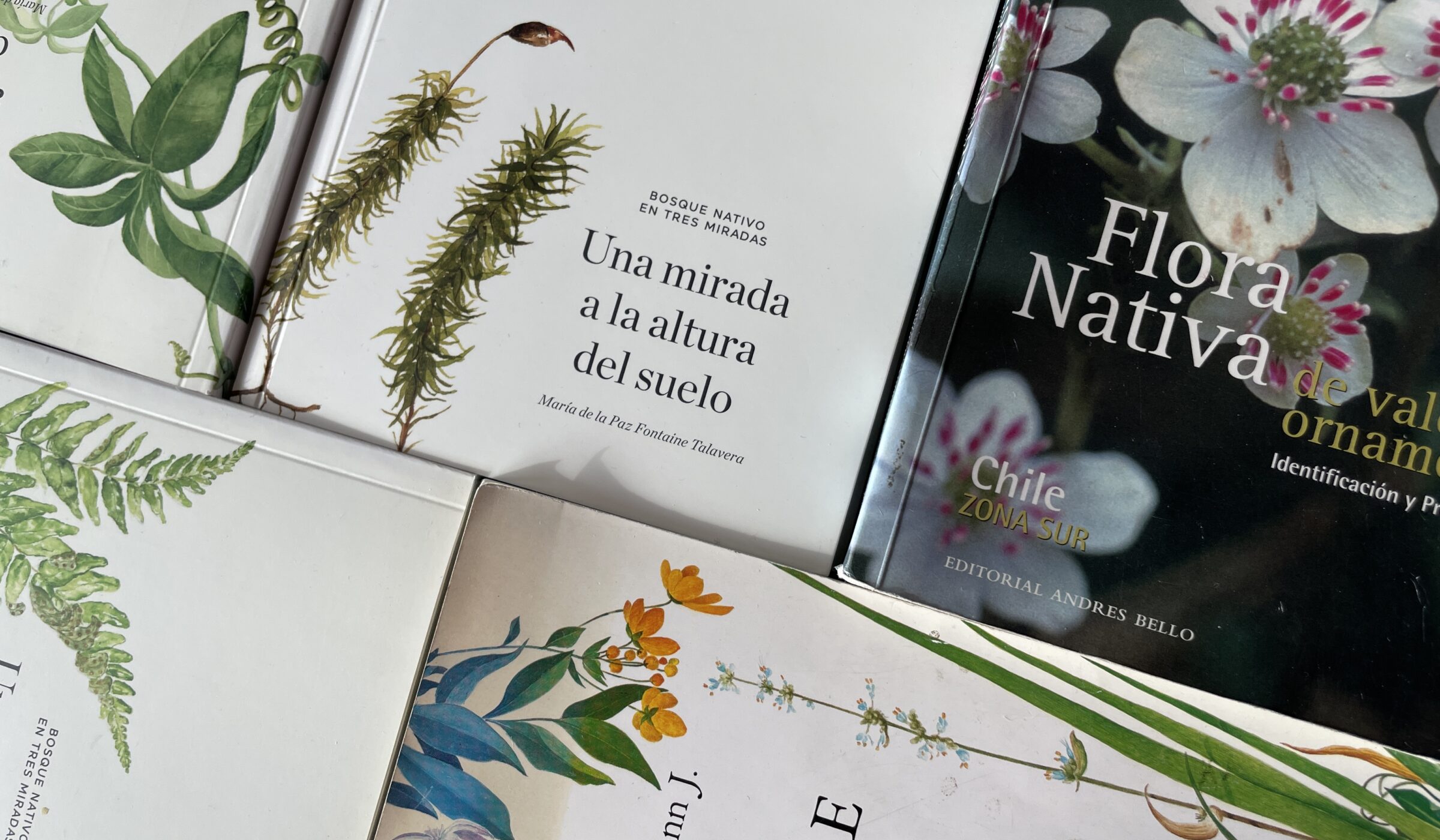 Cinco libros para comenzar en la botánica 