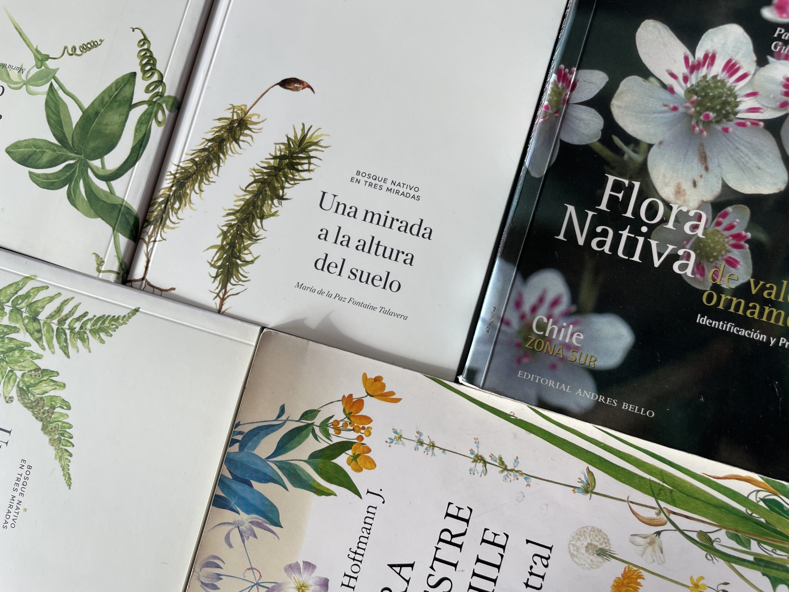 Recomendación cinco libros para iniciar en la botánica.