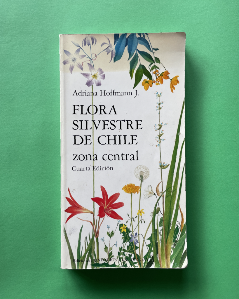 Flora Silvestre de Chile zona central.
