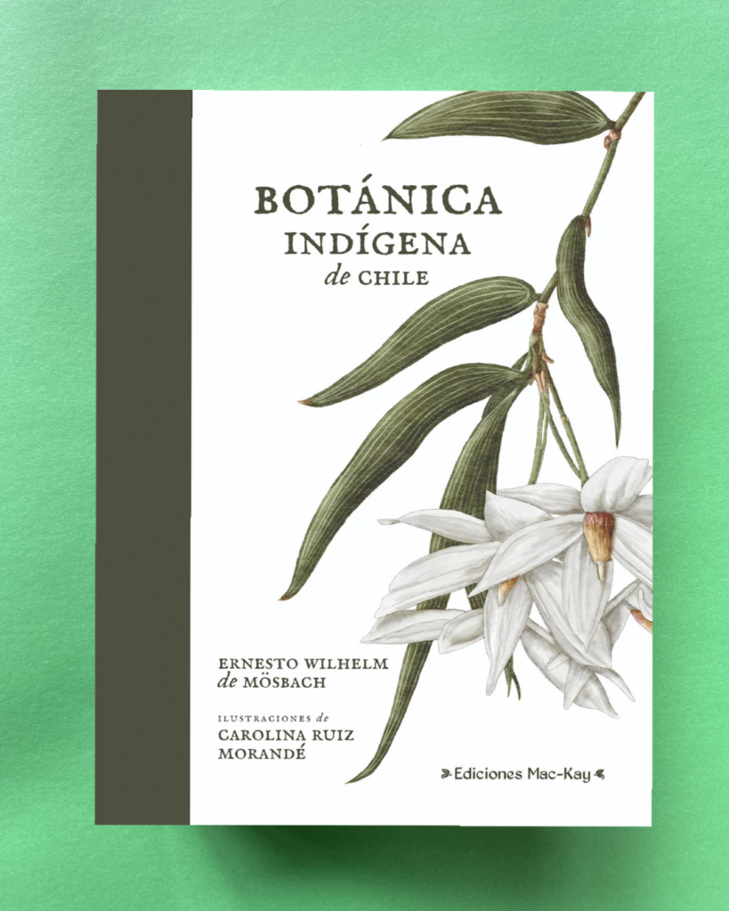 Botánica Indígena de Chile.
