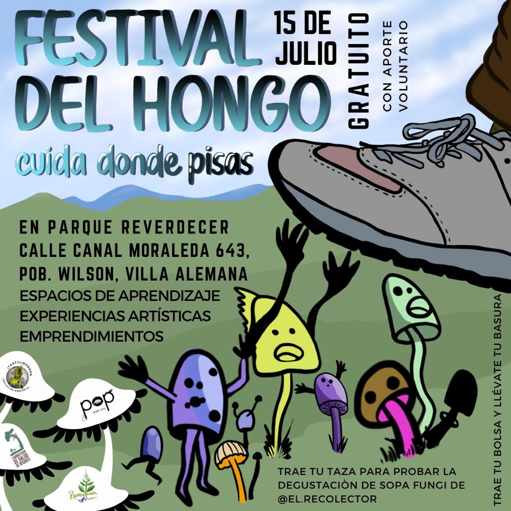 Festival del Hongo: espacios de aprendizaje, talleres y charlas