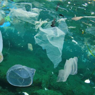 Tras una encuesta ciudadana: la contaminación por plásticos está entre las mayores preocupaciones ambientales de Chile
