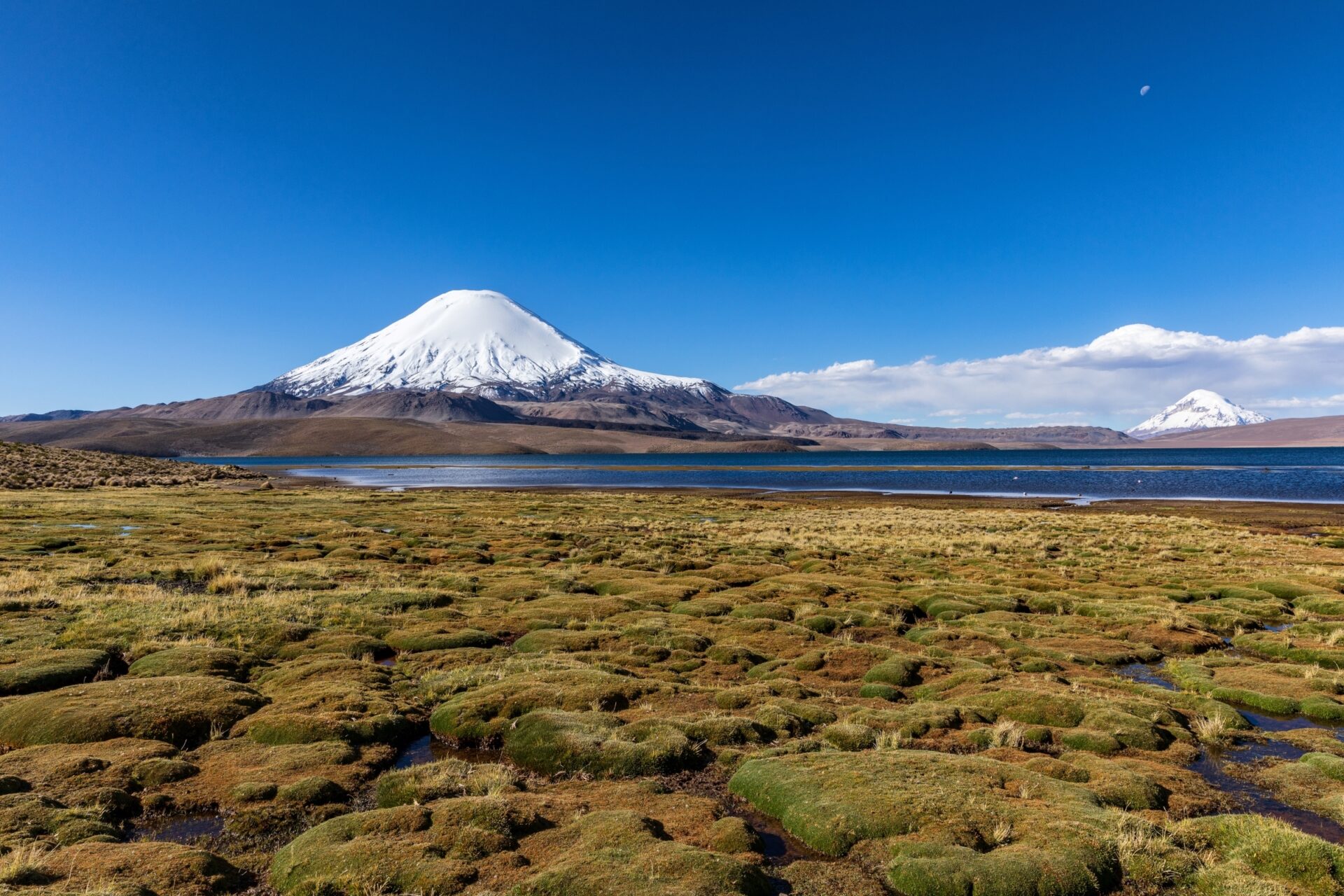 Reconstruyendo el pasado del altiplano gracias a la historia escondida en lagunas y bofedales