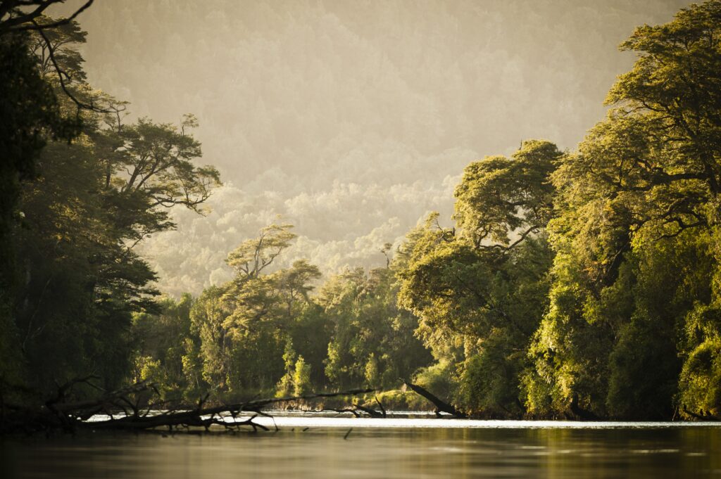 Río Chahuín - Créditos: Nick Hall