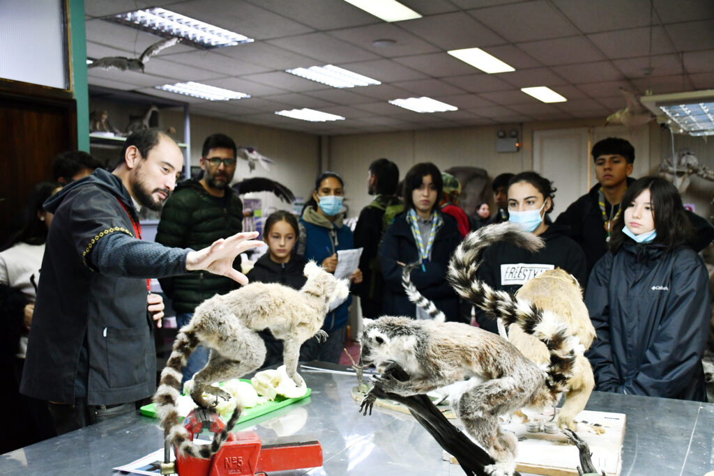 El MNHN abre el mundo de la Taxidermia a través de interesante seminario.