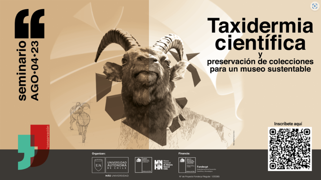 El MNHN abre el mundo de la Taxidermia a través de interesante seminario 