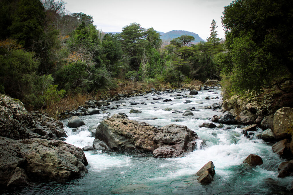 Río Chillán, Región del Ñuble. Créditos: ©Tamara Nuñez