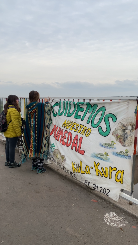 Actividades del Observatorio de Humedales Küla-Kura. 