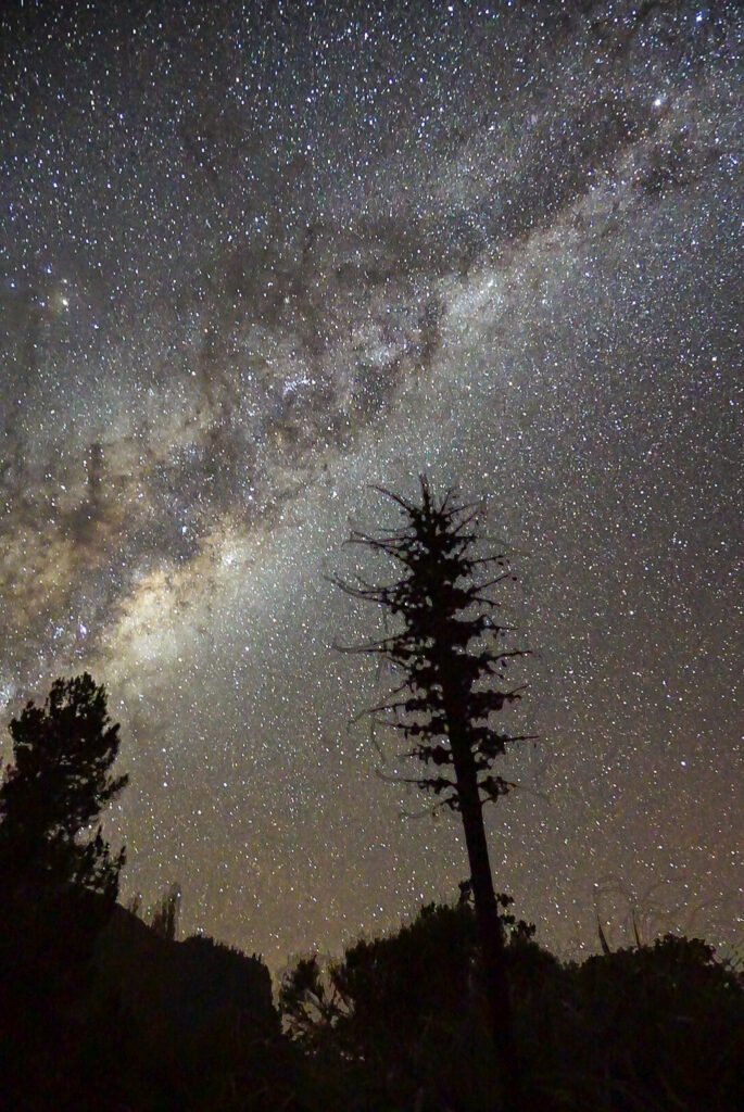 Imagen de cielo nocturno y estrellas en el marco del tercer Encuentro de Áreas Protegidas y Comunidades Portal, en el centro cultural la moneda 