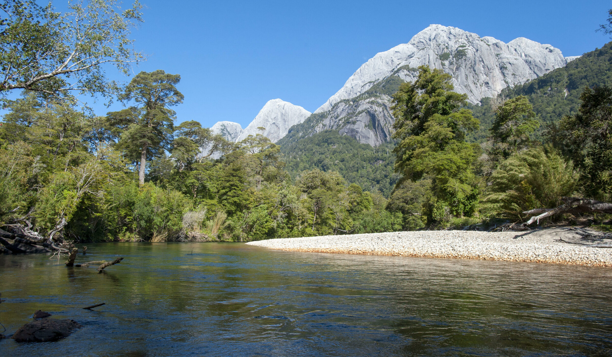 Un nuevo paso para la conservación de Cochamó: se suman 309 hectáreas de bosque nativo protegido