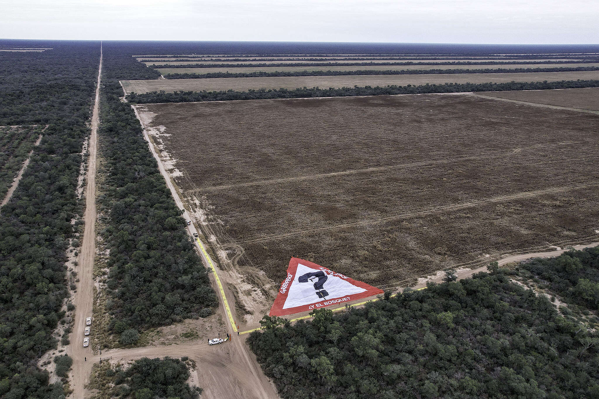 El Chaco argentino perdió más de 50.000 hectáreas de bosque en el primer semestre de 2023