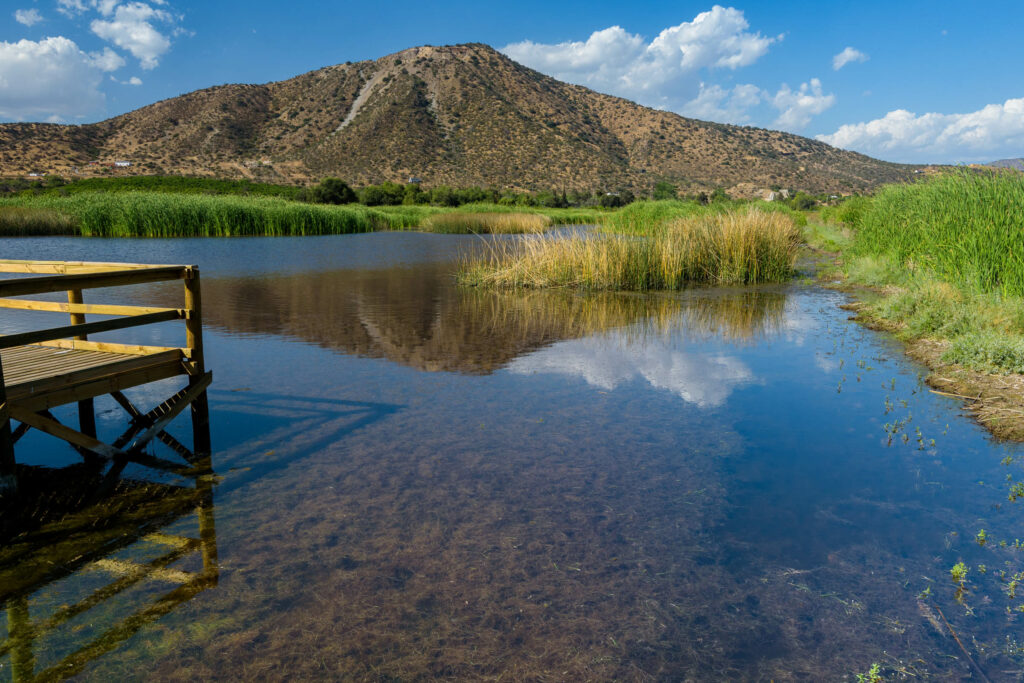 Laguna de Batuco. Créditos Fundación San José de Maipo